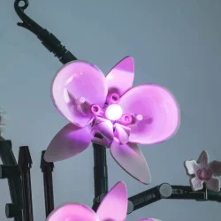 Lyskit til #10311 Orchid CLASSIC (P34801)
