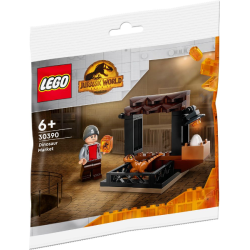 Dinosaur Market Polybag (30390)