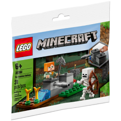 The Skeleton Defense Polybag (30394)