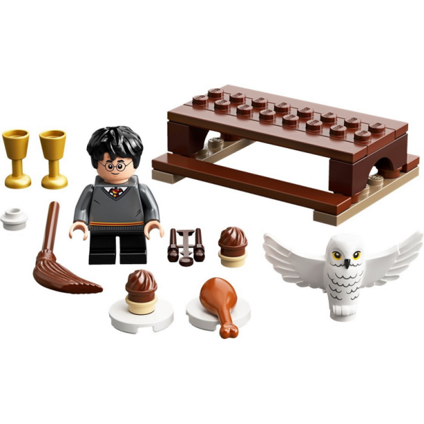 30420 - Harry Potter and Hedwig: Owl Delivery (Poly)