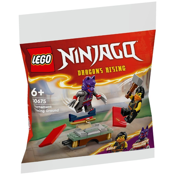 Tournament Training Ground polybag (30675)