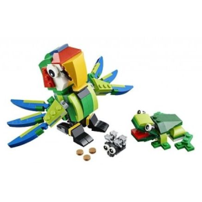 Rainforest Animals (31031)