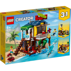 Surfer Beach House (31118)