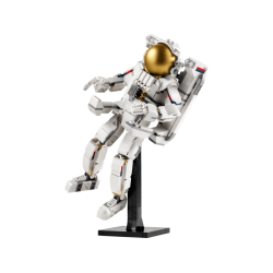 Astronaut (31152)