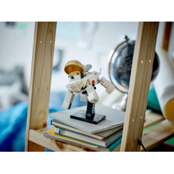 Astronaut (31152)