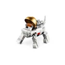 Astronaut (31152)