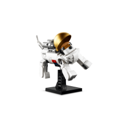 Astronaut (31152)