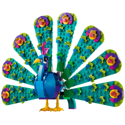 Exotic Peacock (31157)