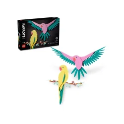 Faunasamlingen - Arapapeg�jer (31211)