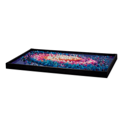 LEGO Art - Galaksen M�lkevejen (31212)