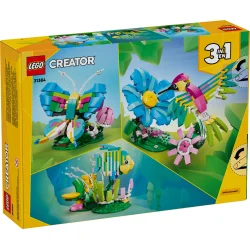 Vilde dyr: Farverig kolibri (31384)