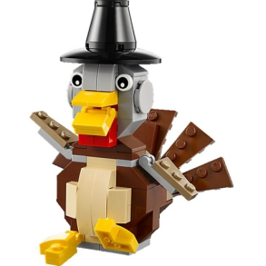 Thanksgiving Turkey (40091)