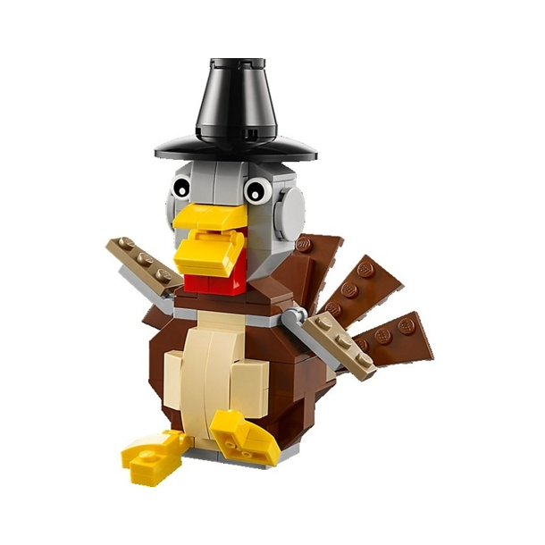Thanksgiving Turkey (40091)