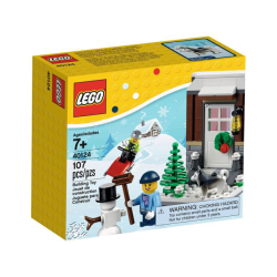 Winter Fun (40124)