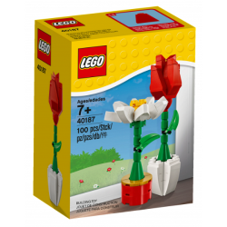 Flower Display (40187)