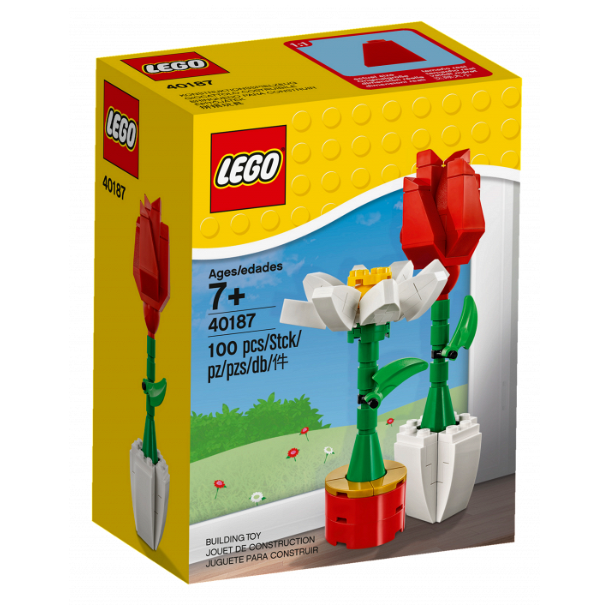 Flower Display (40187)