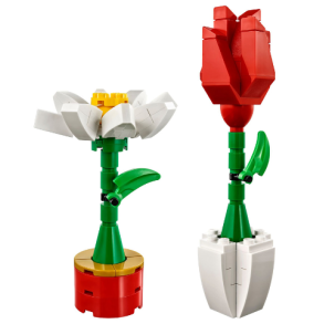 Flower Display (40187)