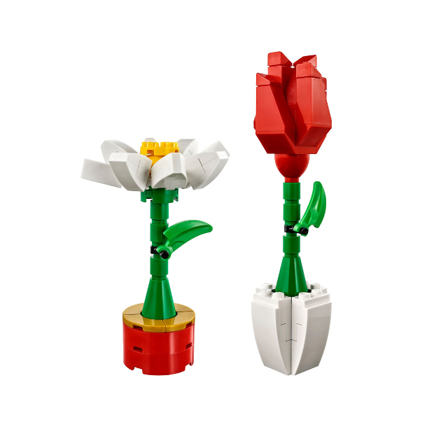 Flower Display (40187)