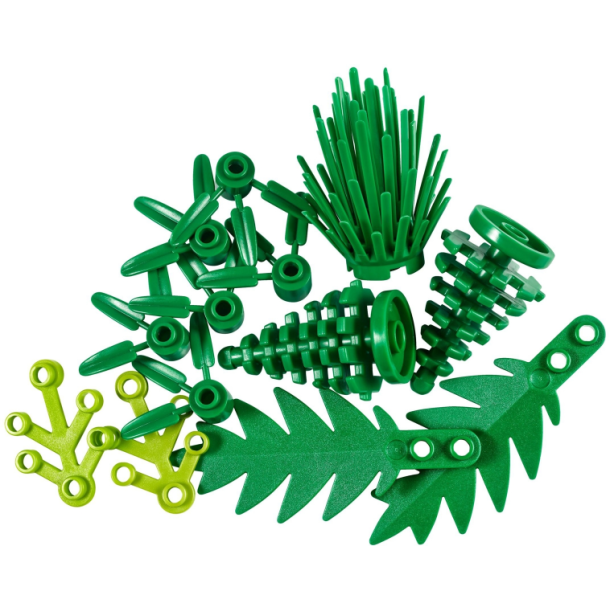 Plants from plants (40320)