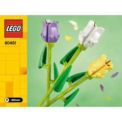 40461 - Tulipaner