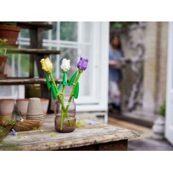 LEGO Botanicals - Tulipaner (40461)