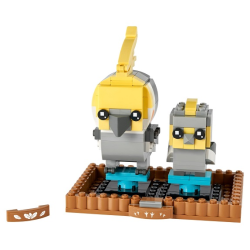 Nymfeparakit (40481)