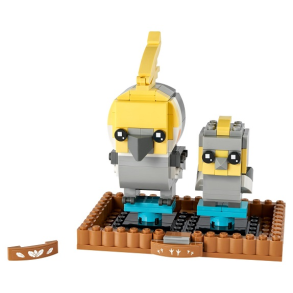 Nymfeparakit (40481)