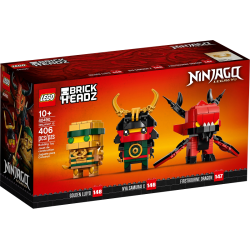 Ninjago 10 (40490)