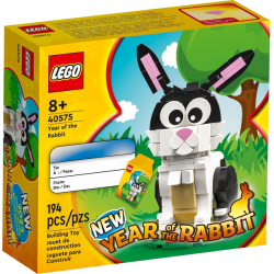 Year of the Rabbit (40575)