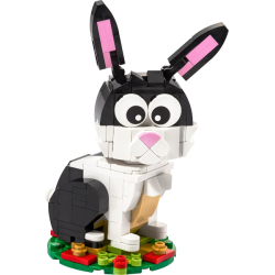 Year of the Rabbit (40575)
