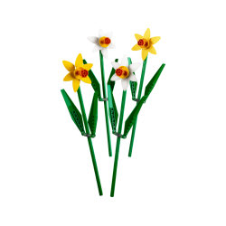 P�skeliljer (40646)