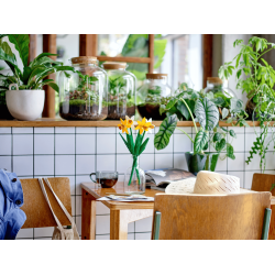 LEGO Botanicals - P�skeliljer (40747)