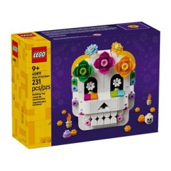 LEGO Seasonal - De d�des alter (40811)_boxfront