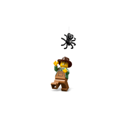 LEGO Seasonal - Gr�skarhoved-pickup (40822)