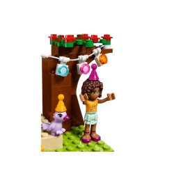 F�dselsdagsfest (41110)