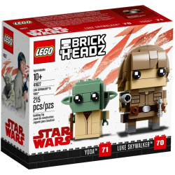 Luke Skywalker &amp; Yoda (41627)