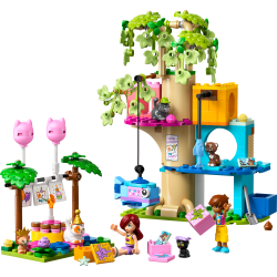 Katte-fdselsdagsfest og trtophus (42666)