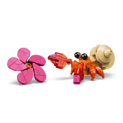 Pua (43292)