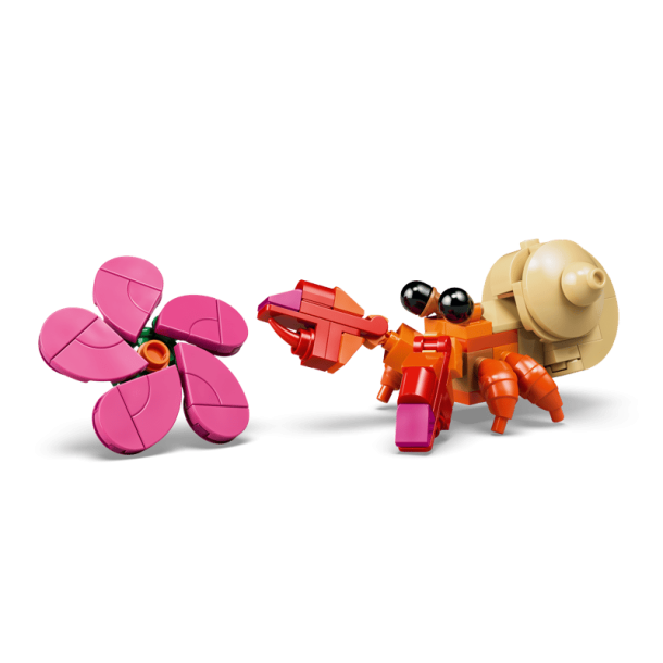 Pua (43292)