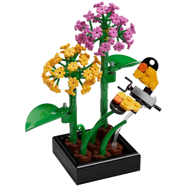 Butterfly Garden (6586991)