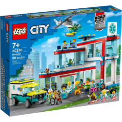 Hospital (60330)