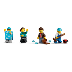 Bilvask (60497)