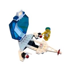 Auxiliary Patroller (6850)