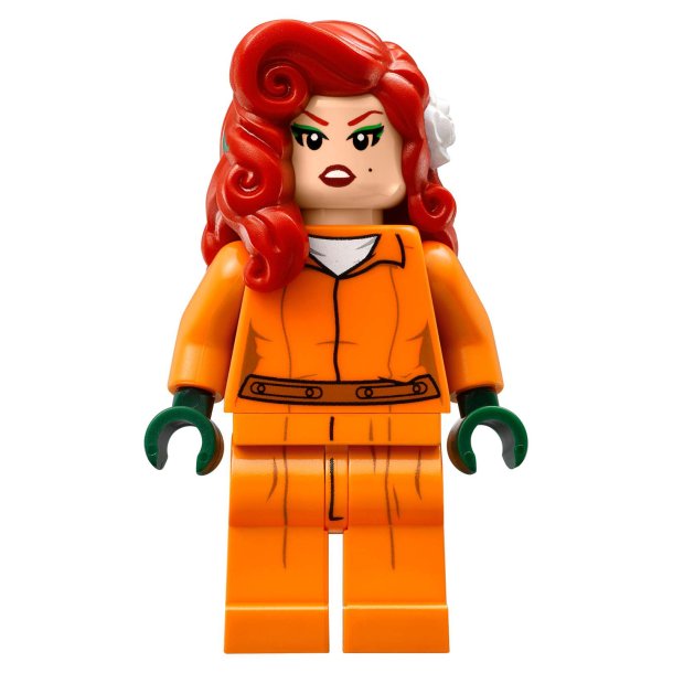 LEGO DC - Arkham Asylum (70912)