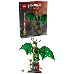 Vogterdragen (71847)