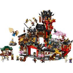 The Old Town (71861)