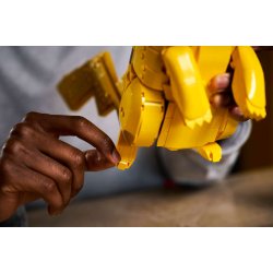 Pikachu og Pok� Ball (72152)