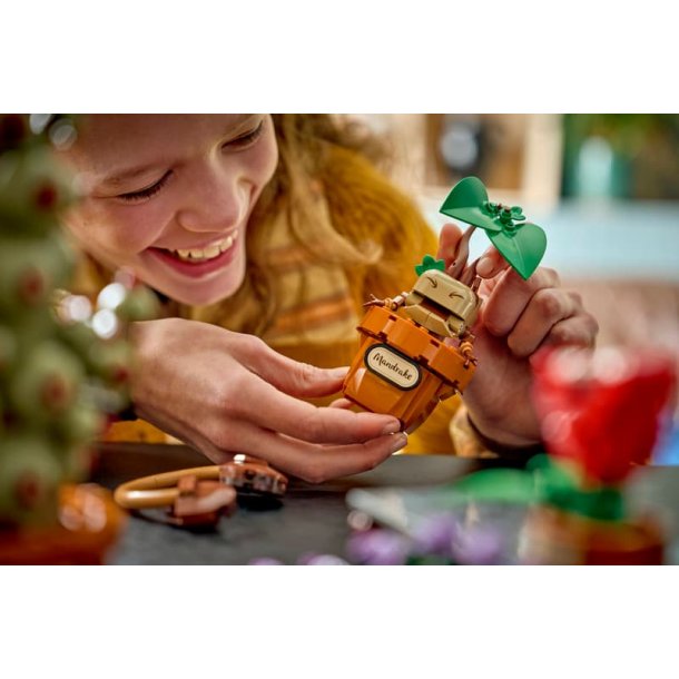 Hogwarts Botanik-planter (76474)