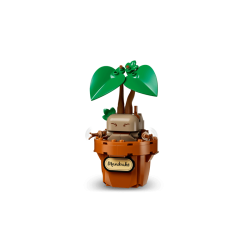 Hogwarts Botanik-planter (76474)