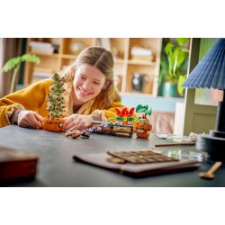 Hogwarts Botanik-planter (76474)
